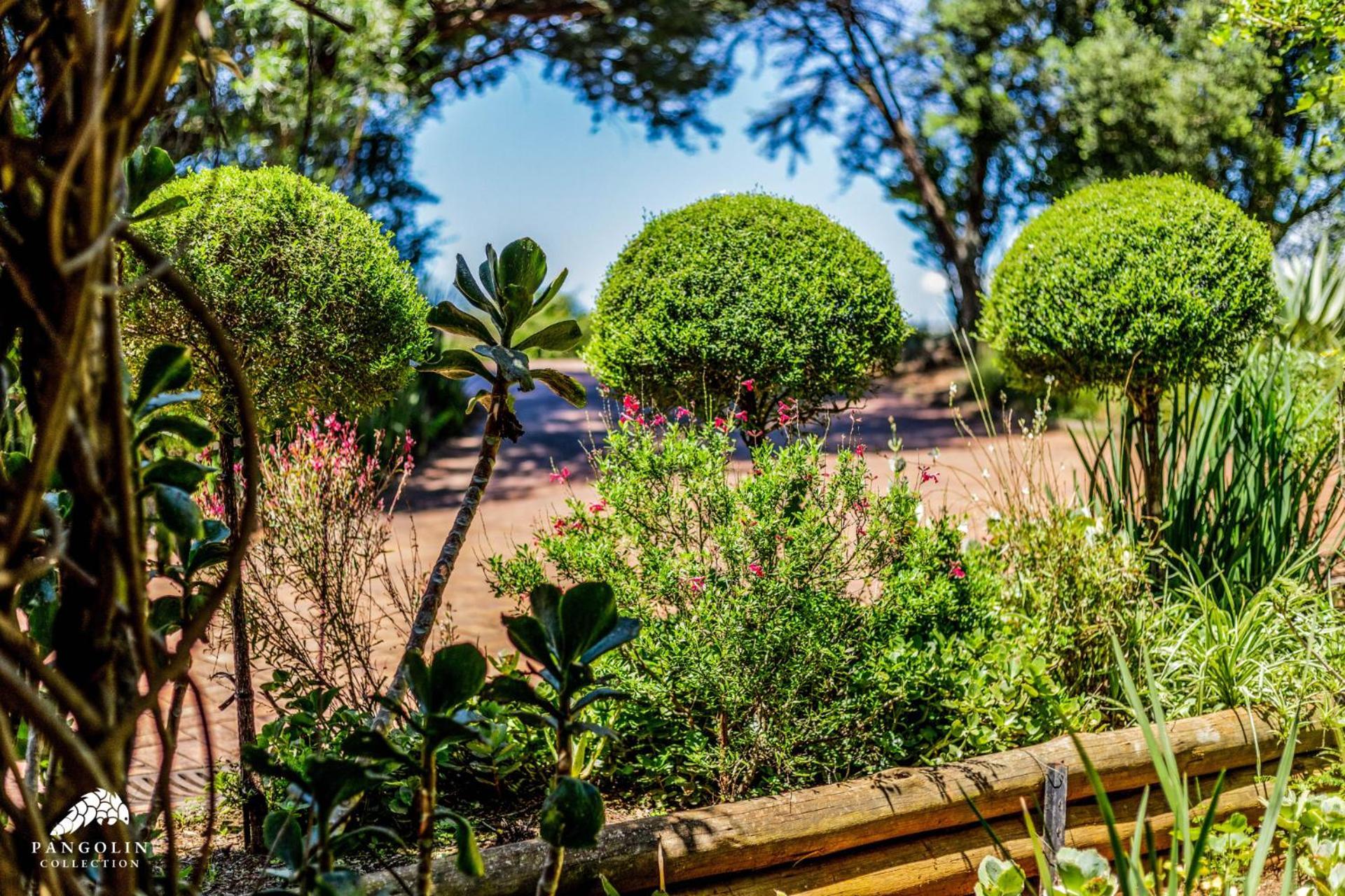 Вилла Aleah, Cathkin Estates By Euphoric Leisure Champagne Valley Экстерьер фото